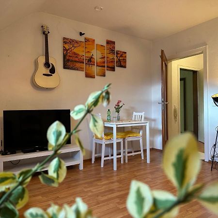 Kleine Oase In Essen-Sued Appartement Buitenkant foto